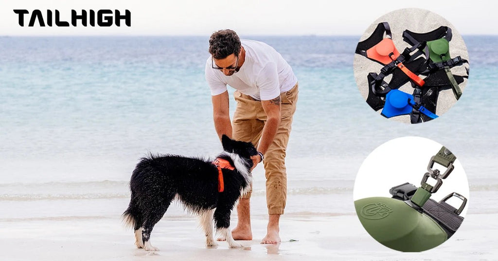 TAILHIGH Award Winning 2-in-1 Leash & Harness - Shortie Friends