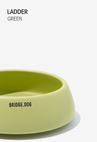 BRIDGE.DOG