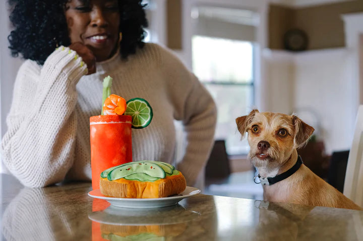 P.L.A.Y. Pet Lifestyle And You Barking Brunch Collection