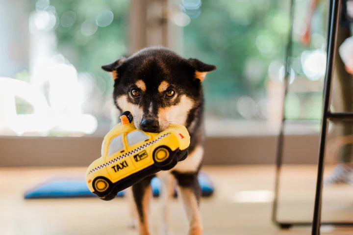 P.L.A.Y. Canine Commute Collection | Shortie Friends