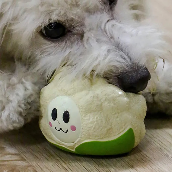 Dog-Toy-Q-MONSTER-Natural-Rubber-Squeaky-Toy-Vegetable-cauliflower-Interactive-Floating-Toy1