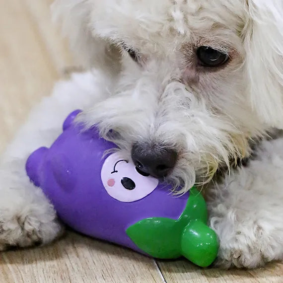 Dog-Toy-Q-MONSTER-Natural-Rubber-Squeaky-Toy-Vegetable-eggplant-Interactive-Floating-Toy2