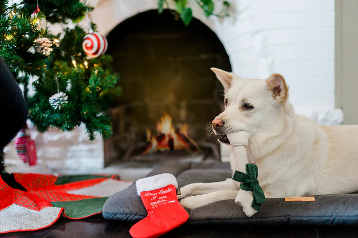 P.L.A.Y. - Pet Lifestyle and You Merry Woofmas Collection Plush Dog Toy | Shortie Friends