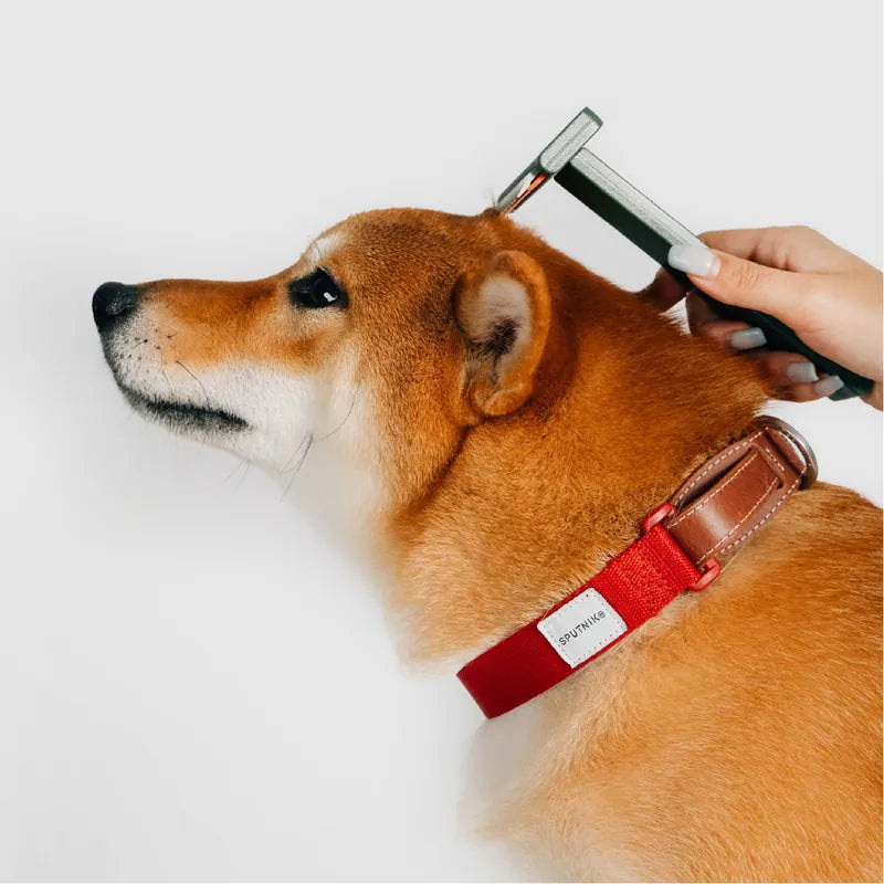 Sputnik pet comb