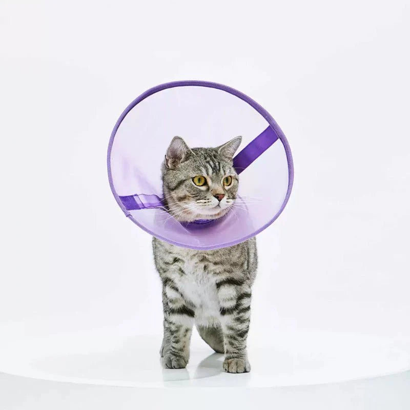 Purrre Breathable Mesh Soft Elizabethan Collar | Shortie Friends