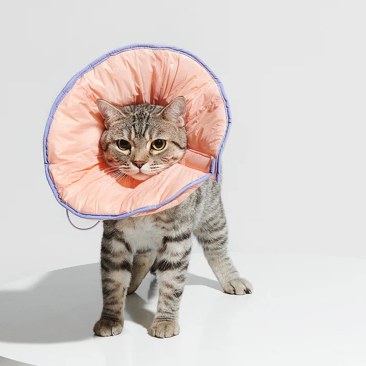 Purrre R³ Elizabethan Collar