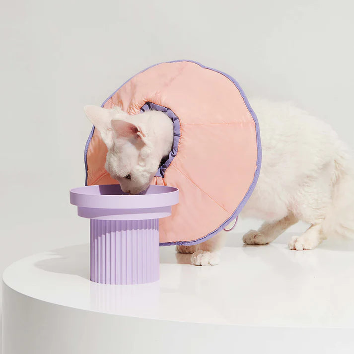 Purrre R³ Elizabethan Collar