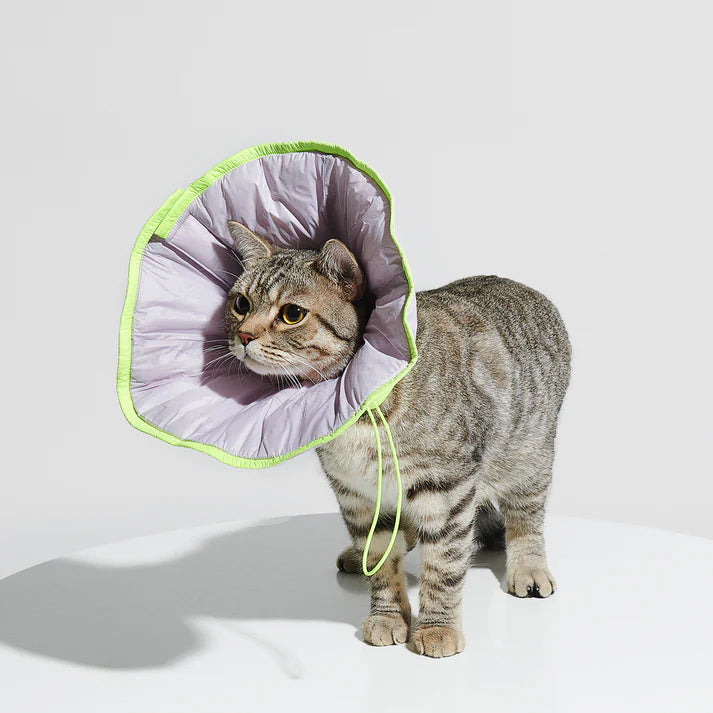 Purrre R³ Soft Cone Elizabethan Collar | Shortie Friends