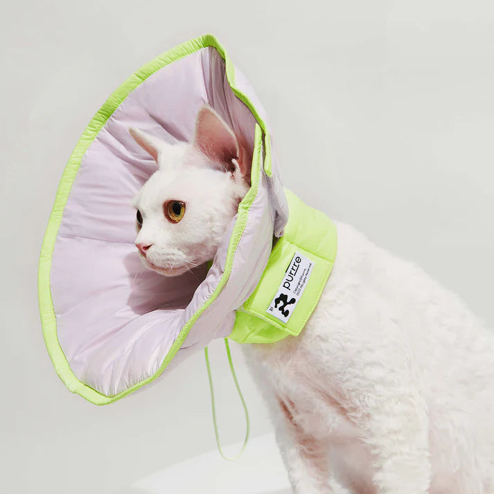 Purrre R³ Soft Cone Elizabethan Collar | Shortie Friends