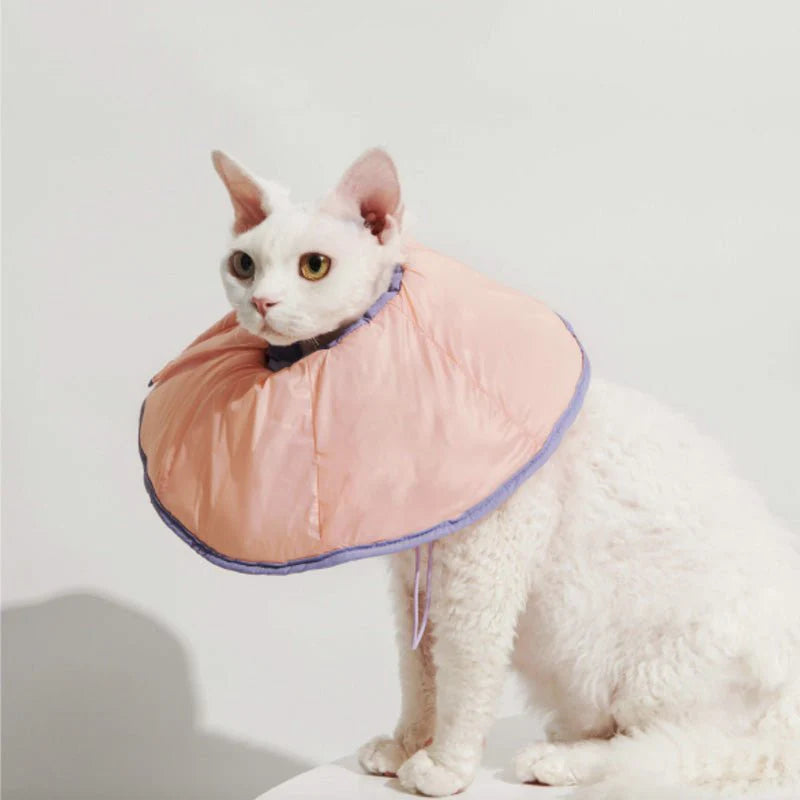 Purrre R³ Elizabethan Collar