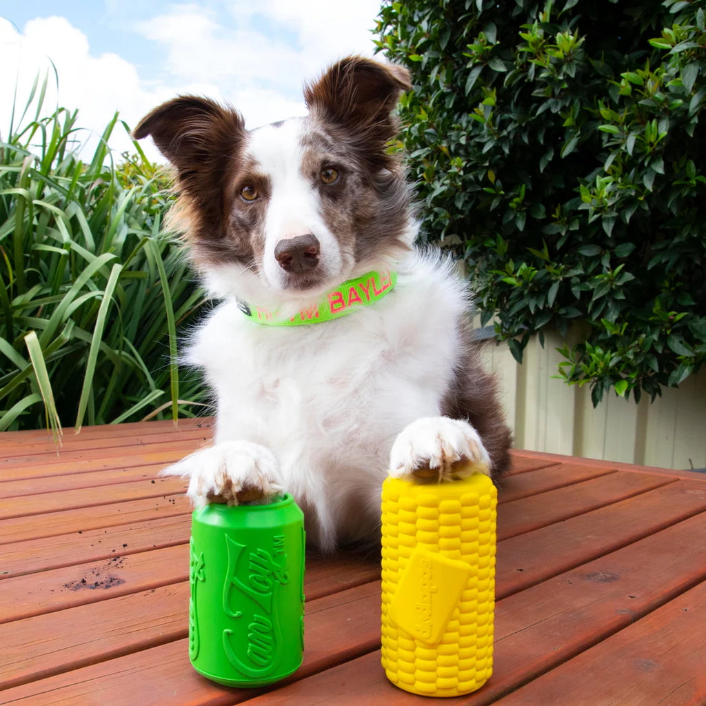 SodaPup Corn on the Cob Durable Rubber Treat Dispenser Chew & Enrichment Toy | Shortie Friends