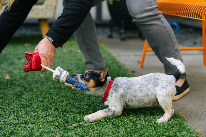 Pet Lifestyle And You Totally Touristy Collection Eiffel Tower