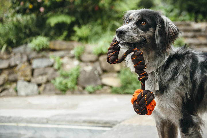 P.L.A.Y. Tug Ball Rope Toy | Shortie Friends