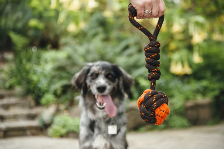 P.L.A.Y. Tug Ball Rope Toy | Shortie Friends