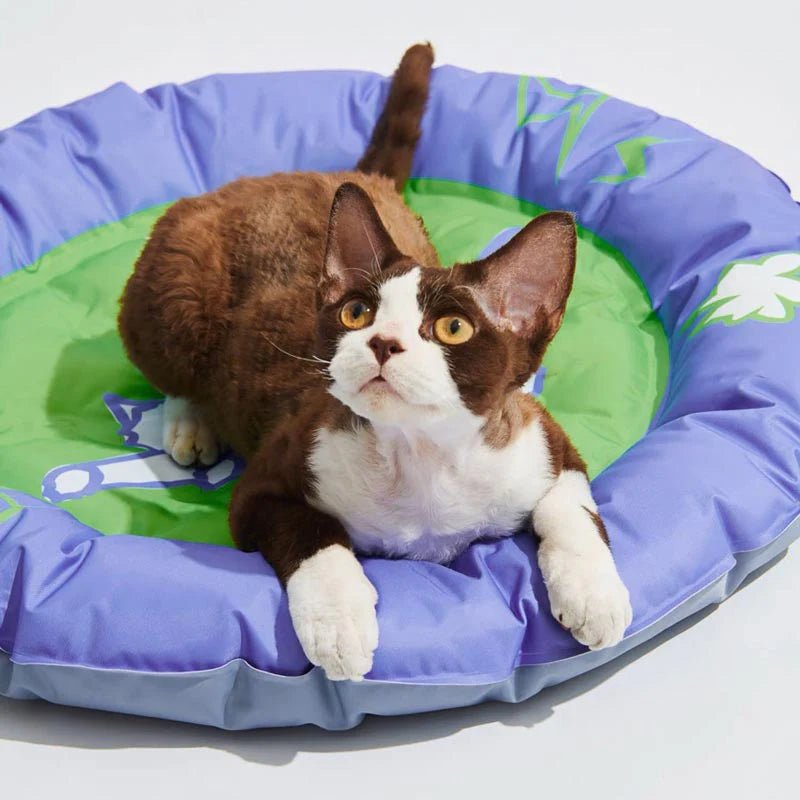 Boom Boom Cooling Mat | Round - Shortie Friends