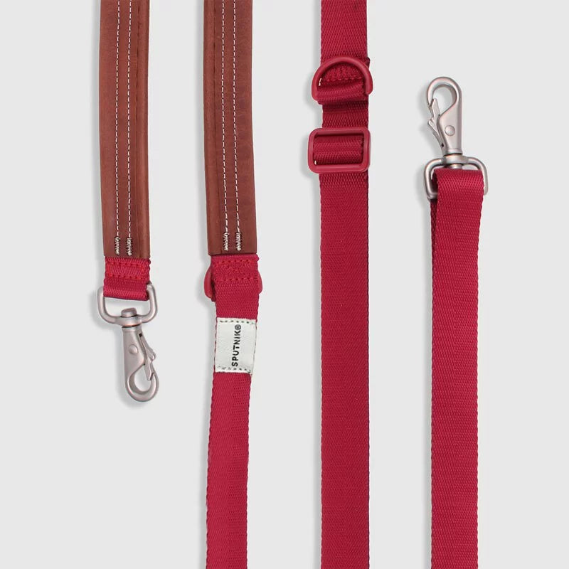 Sputnik Multi-Function Dog Leash