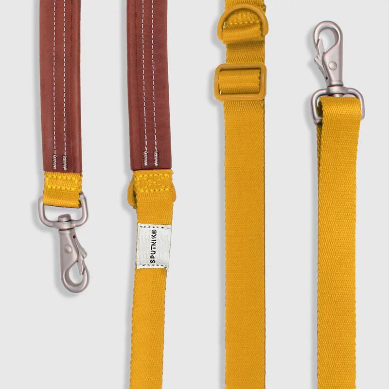 Sputnik Multi-Function Dog Leash