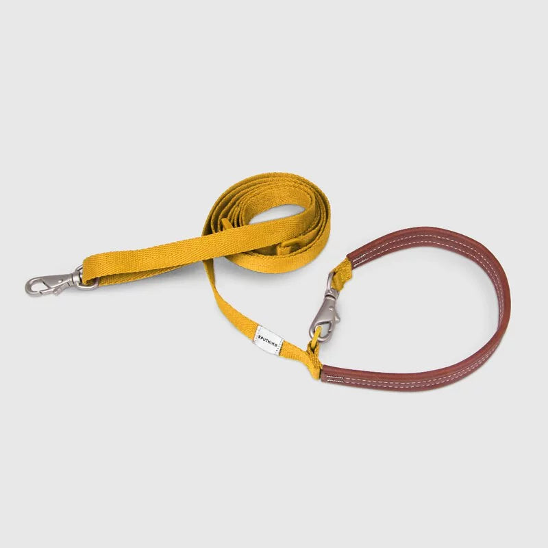 Sputnik Multi-Function Dog Leash