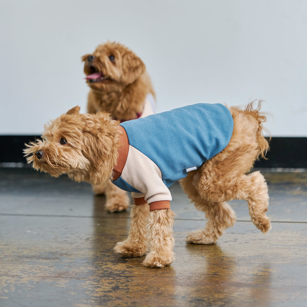 munikund Ari Pullover: Blue - Shortie Friends