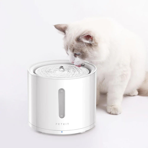 PETKIT Eversweet SOLO 2 Wireless Smart Water Fountain 2L | Shortie Friends