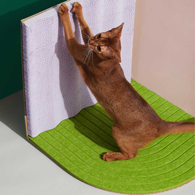 purrre 3 dimensional cat scratcher